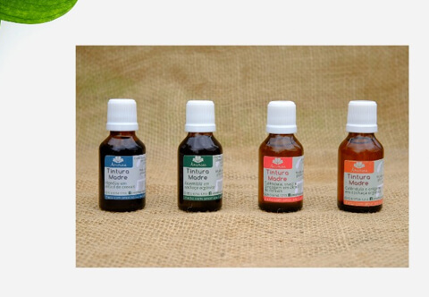 Amorina Cosméticos