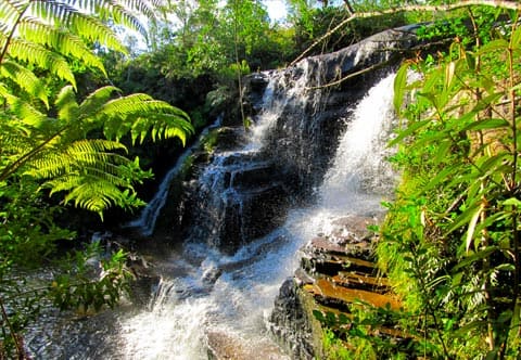 Cachoeira do Salomão