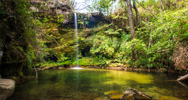 Cachoeira do Guatambu