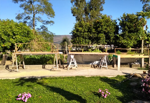 Café da Bica