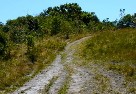 Antiga trilha