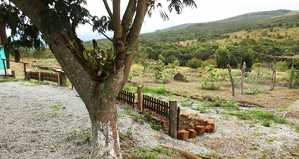 Casas