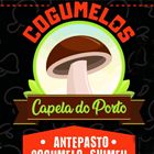  Cogumelos Capela do Porto