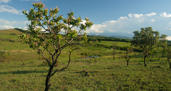 Clima