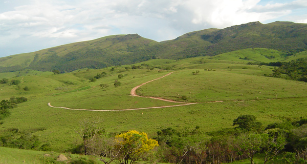 Relvevo de Carrancas