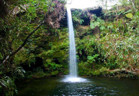 Cachoeira do Guatambu